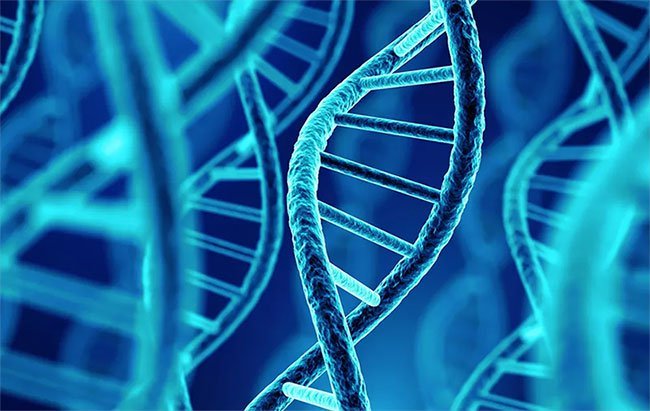 Dịch vụ giám định adn Dịch vụ giám định adn