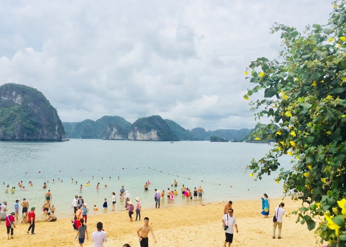 Dịch vụ Thám tử Hạ Long – Quảng Ninh